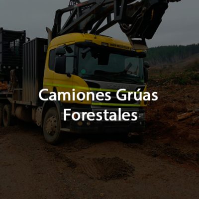 Camiones-Grúas-Forestales